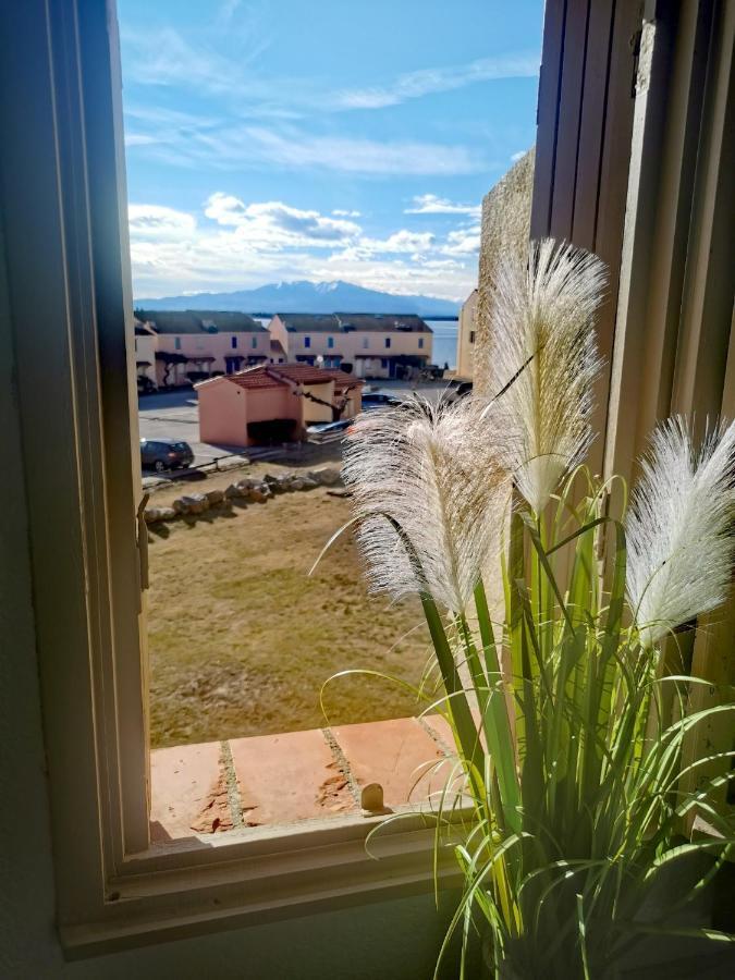 Appartement Tout Confort A Cap Coudalere Avec Vue Magnifique Sur Le Canigou Au Bord Du Lac - Check In Automatise - Parking Gratuit - Aire De Jeux D'Enfants - Le Barcarès Exteriör bild